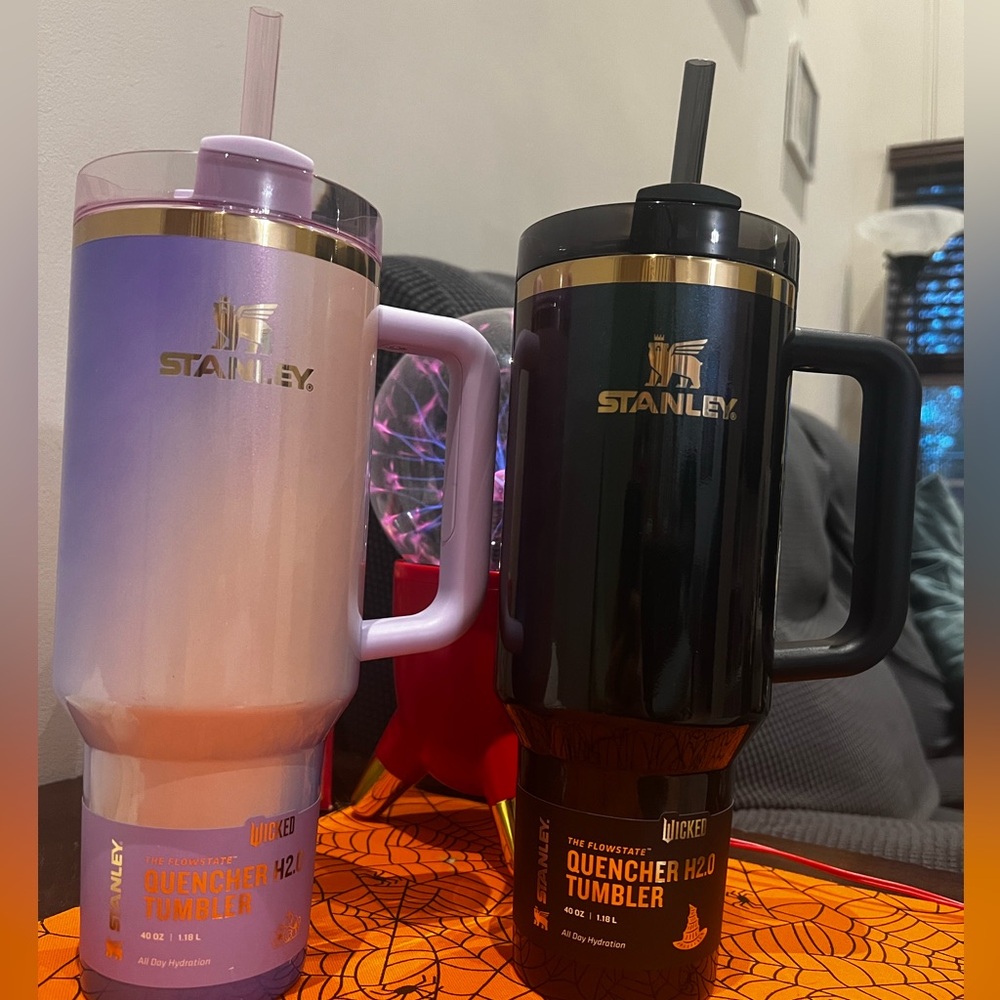 Stanley Wicked for Good SET! target 🎯 exclusive